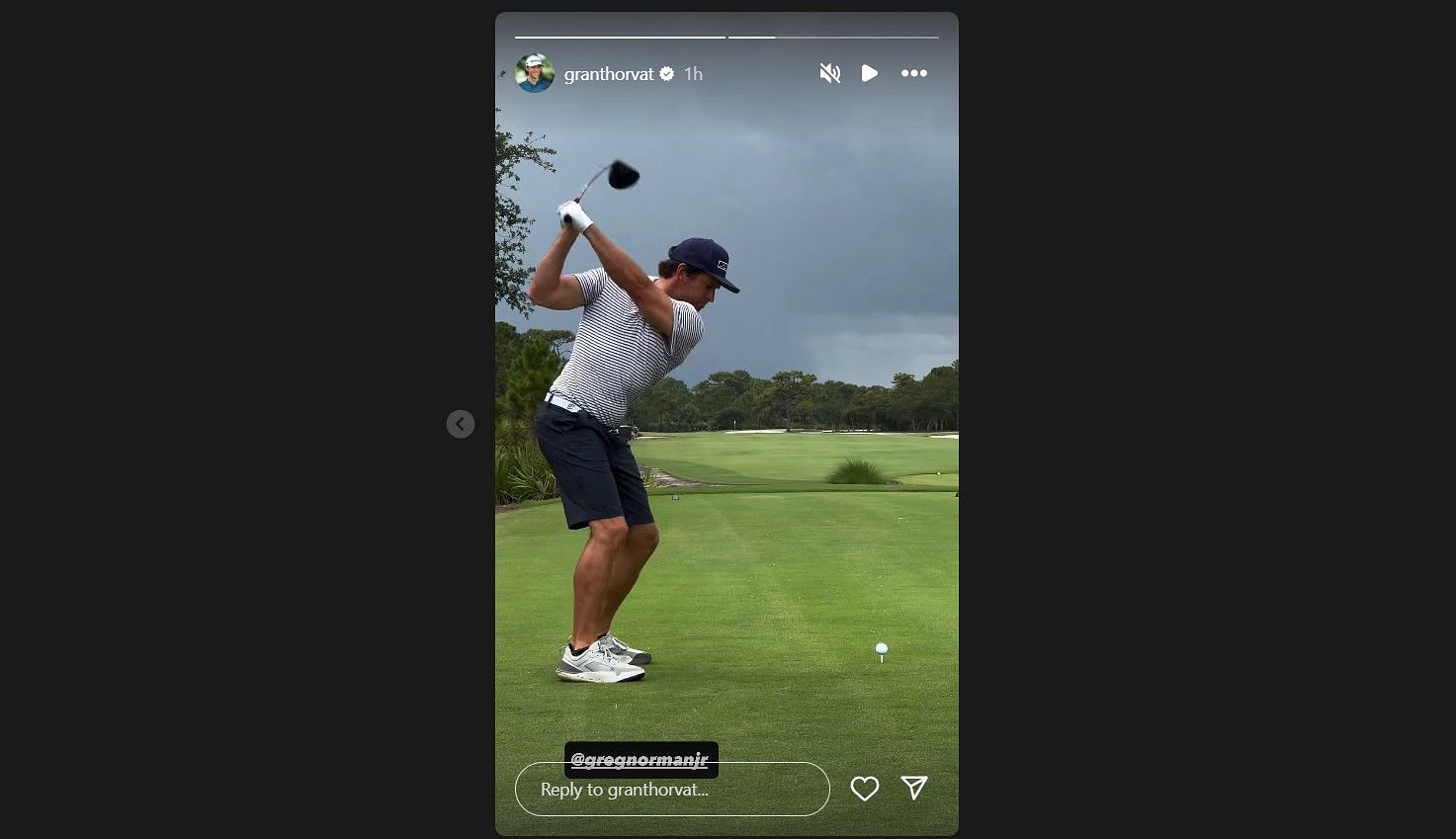 Greg Norman Jr. (Image via @granthorvat)